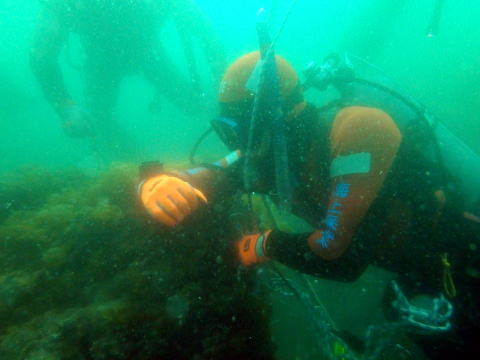 潜水訓練中方位を確認する潜水士